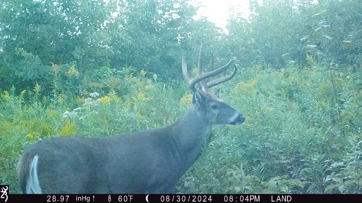 Lot 4 160th Avenue, Turtle Lake, WI — photo 10