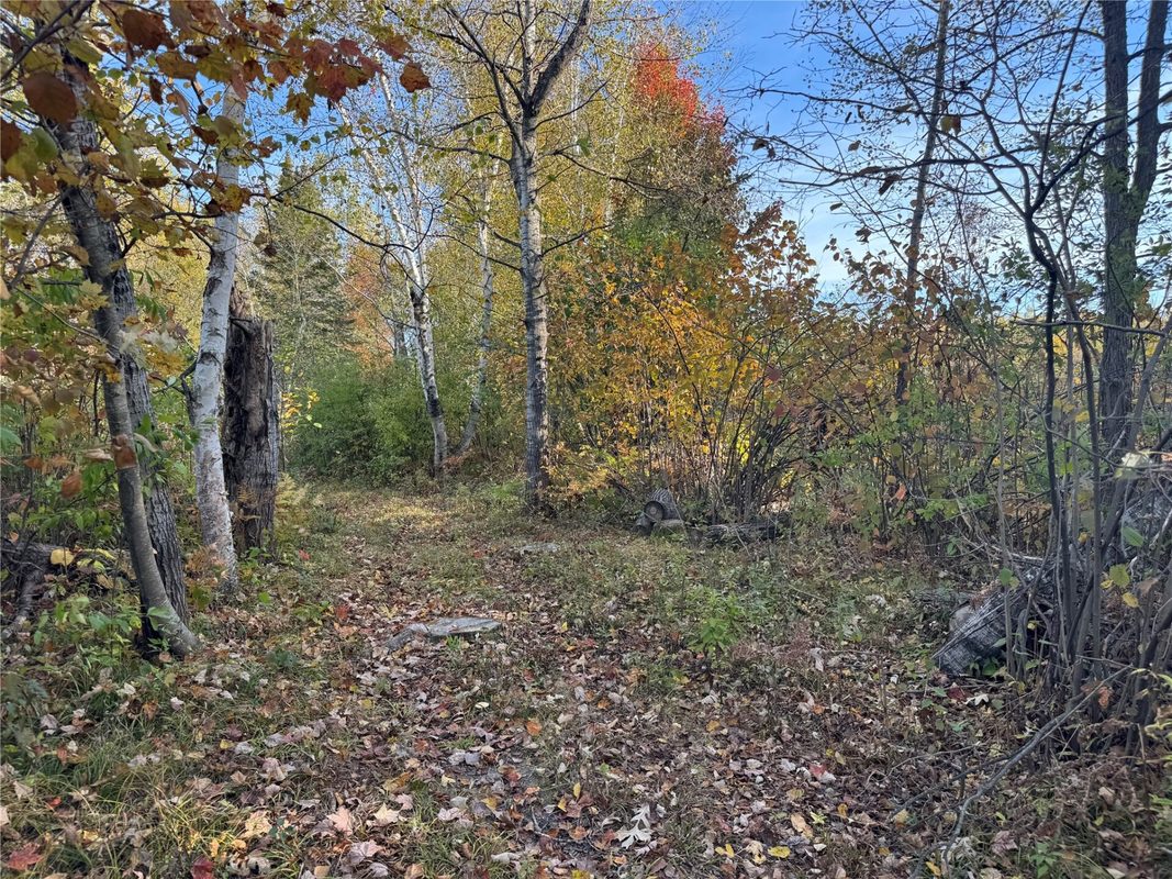 W11199 Edgewood Avenue, Bruce WI 54848 - Land house for sale - MLS #1605749 - image22