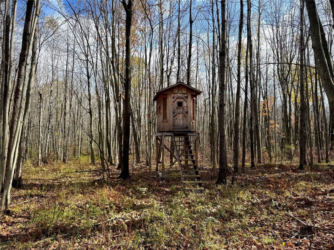 208220 Kane Lane, Mosinee WI 54455 - Land house for sale - MLS #1606074 - image9