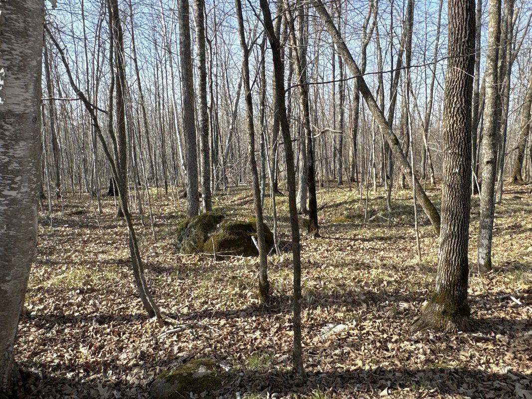9618 W Mile Road Ladysmith WI 54848 — photo 23