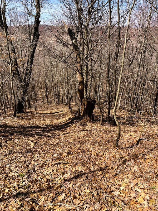 000 Pete Coulee Road, Taylor, WI — photo 16