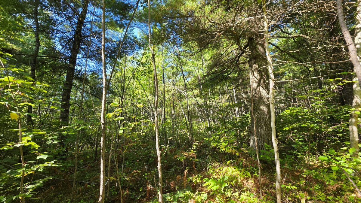 4602W State HWY 70, Winter WI 54896 - Land house for sale - MLS #1605196 - image10