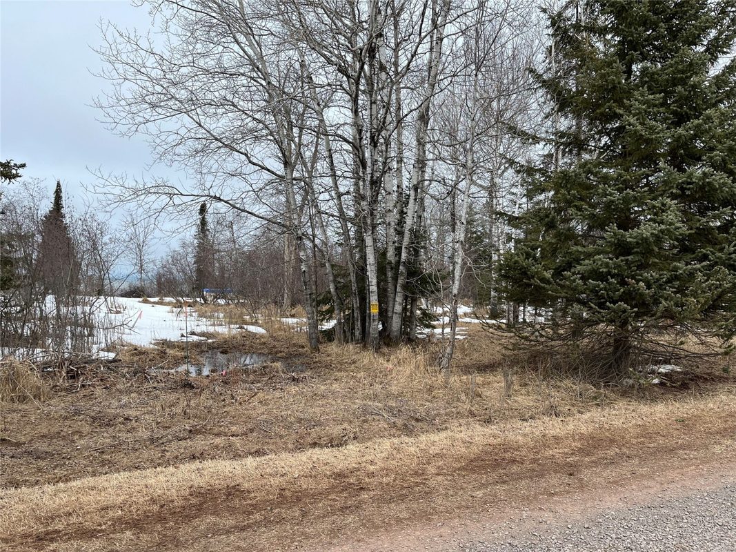 10427 Devries Road, Poplar WI 54864 - Land house for sale - MLS #1599941 - image23