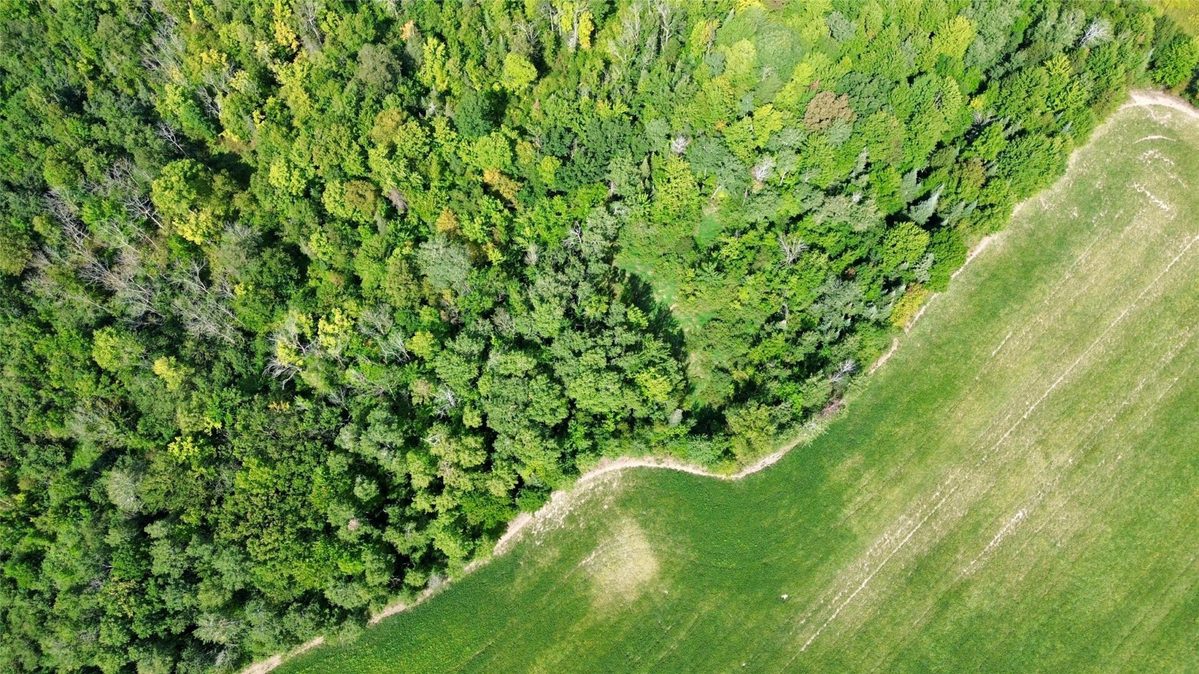W16860 Cty Rd D, Sheldon WI 54766 - Land house for sale - MLS #1604631 - image14