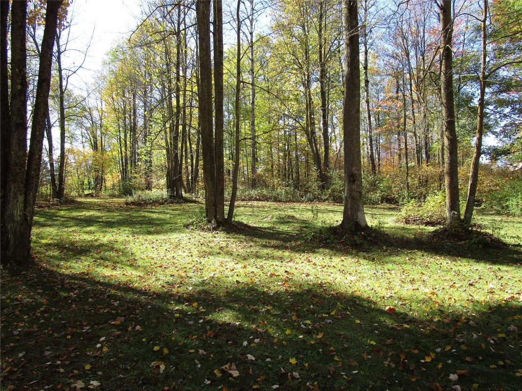 N7110 Hackett Road, Hawkins WI 54530 - Land house for sale - MLS #1600843 - image17