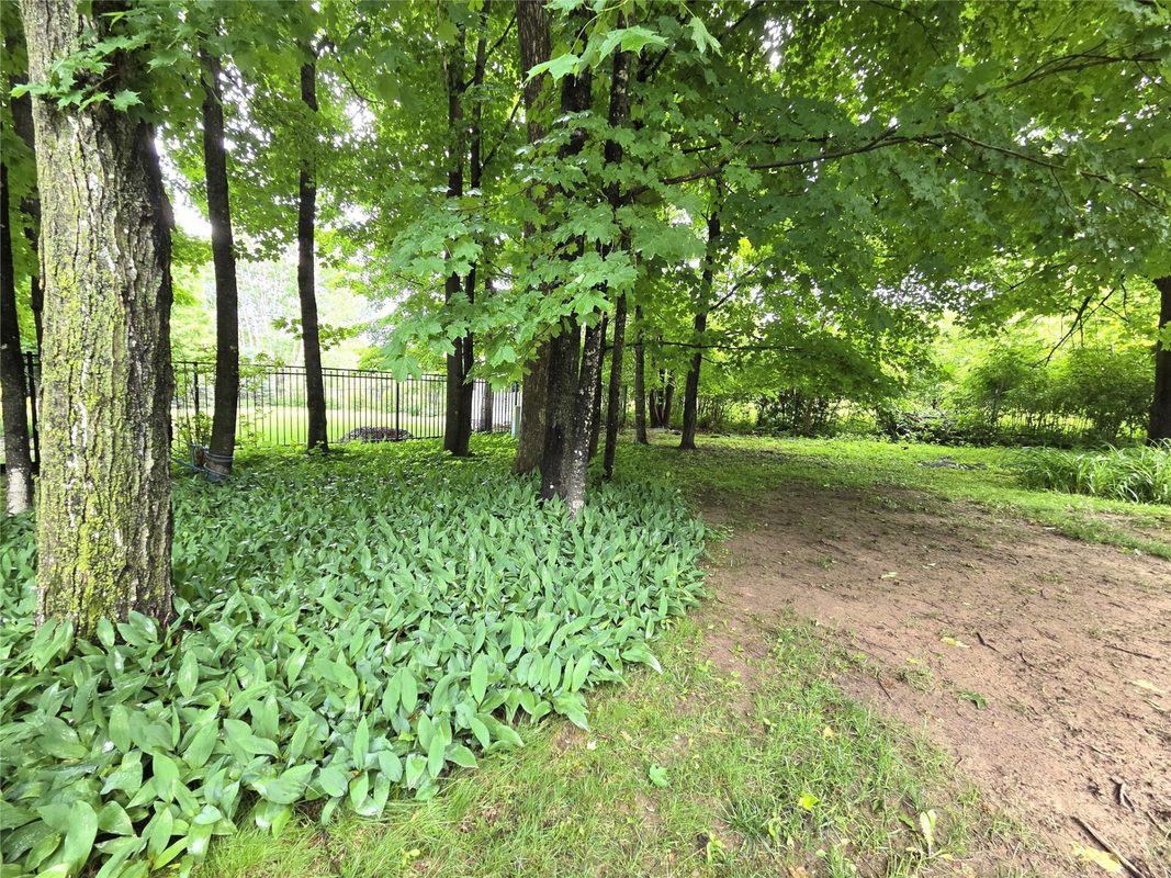 724 Pine Place, Rice Lake WI 54868 - Residential house for sale - MLS #1602221 - image39