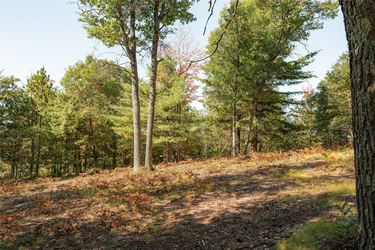 0 E Long Lake Road, Iron River WI 54856 - Land house for sale - MLS #1605717 - image13