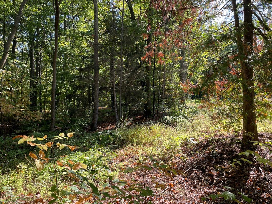 6073 Elsie Road, Stone Lake WI 54876 - Land house for sale - MLS #1602616 - image41