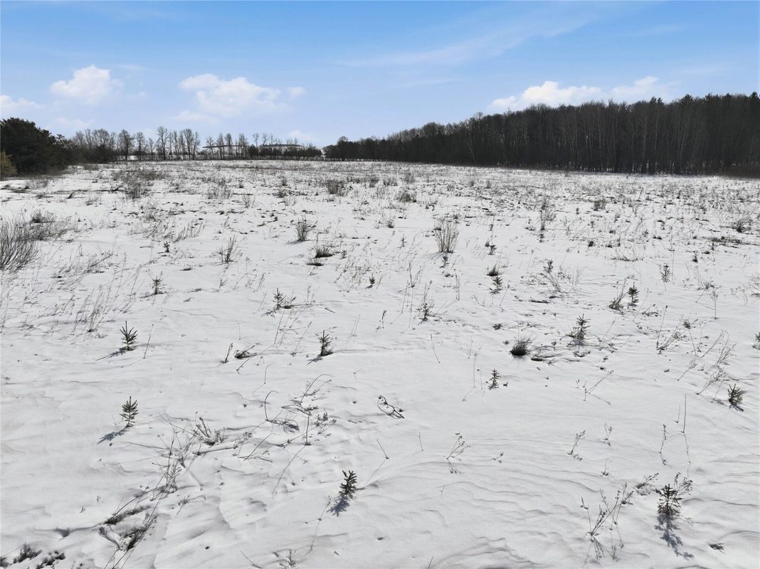 8733 State Highway 64 Bloomer WI 54724 — photo 14