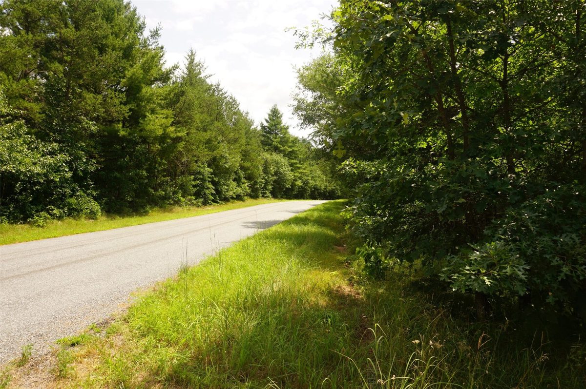 N9105 Flood Road, Black River Falls WI 54615 - Land house for sale - MLS #1603584 - image13
