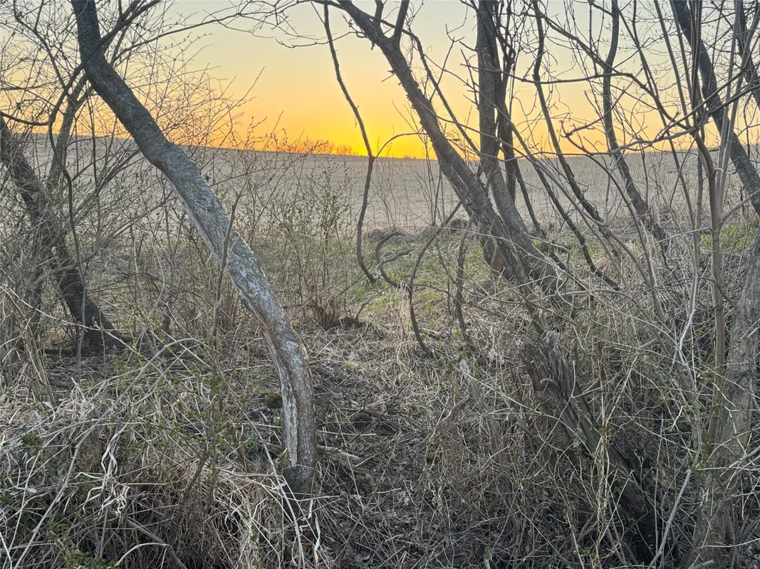 Land at TBD Riesgraf Lane, Stockholm, WI 54769 — photo 14