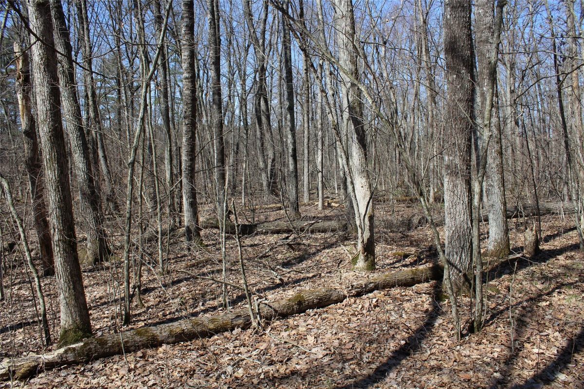 00 Resewood Ave. – Lot 4 Neillsville WI 54456 — photo 14