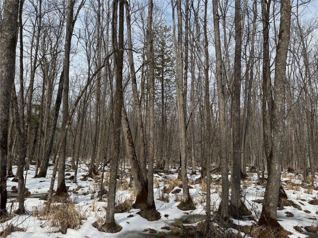 Land at OOO LAKE RD, Clintonville, WI 54929 — photo 34