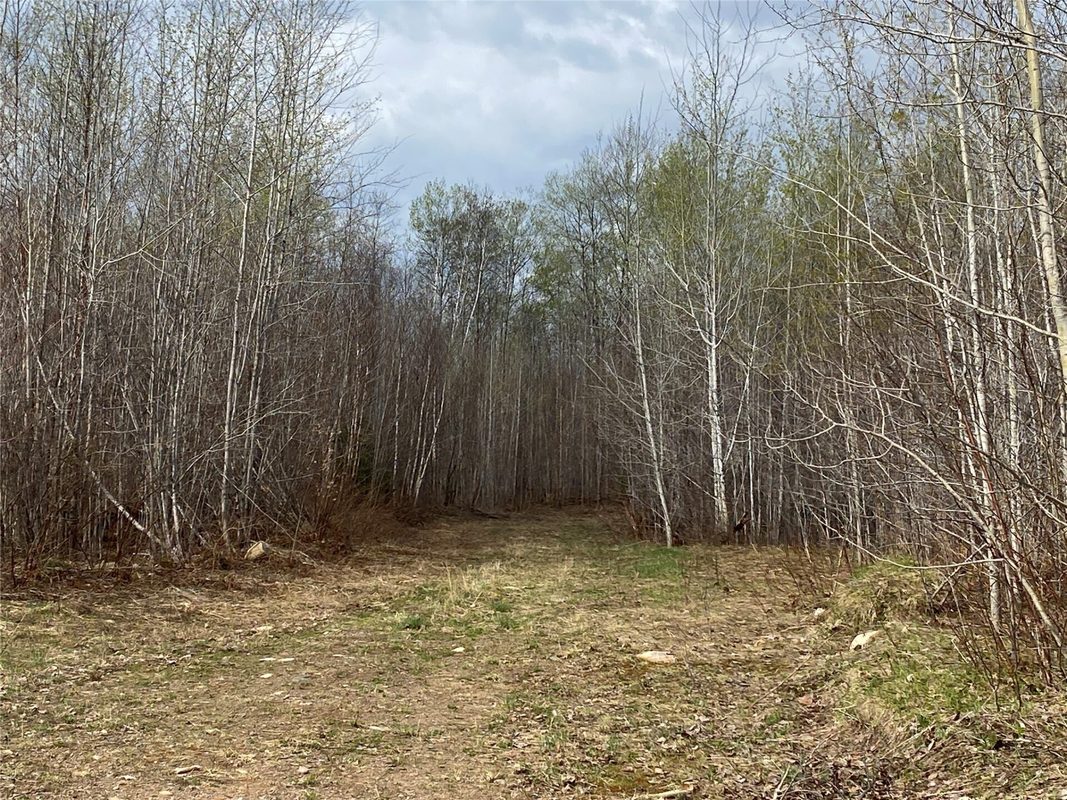 Near Wilson Lake Road Phillips WI 54555 — photo 6
