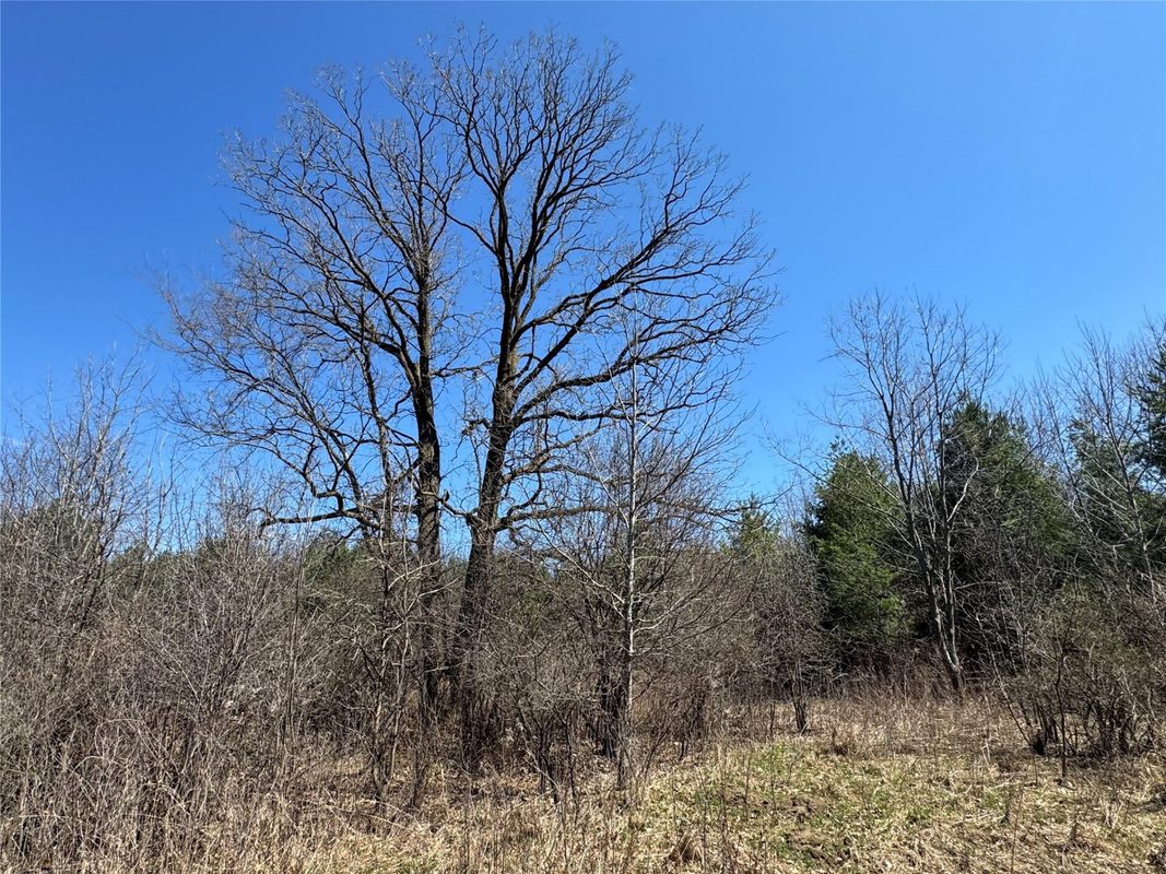 0000 110th Avenue Avenue, Glenwood City, WI — photo 34