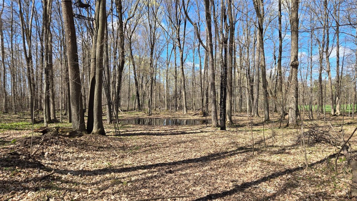 012345 26th Avenue, Rice Lake WI 54868 - Land house for sale - MLS #1602600 - image11