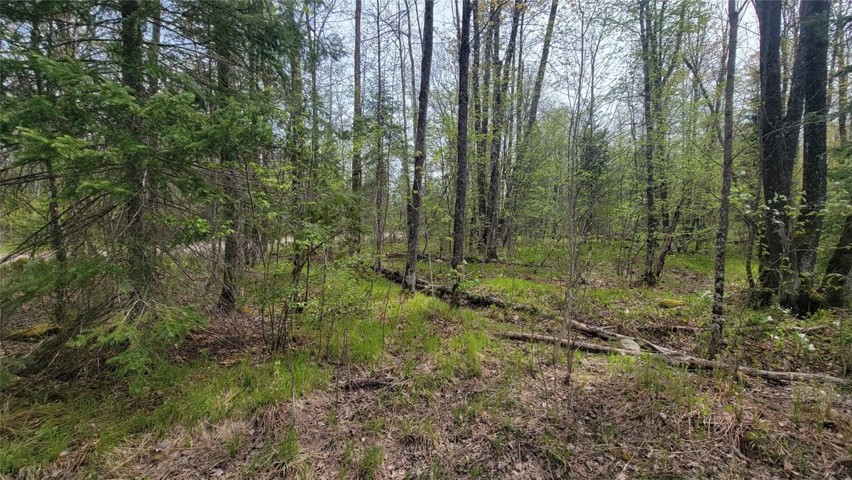 W10389 Fleming Road, Park Falls WI 54552 - Residential house for sale - MLS #1601372 - image23