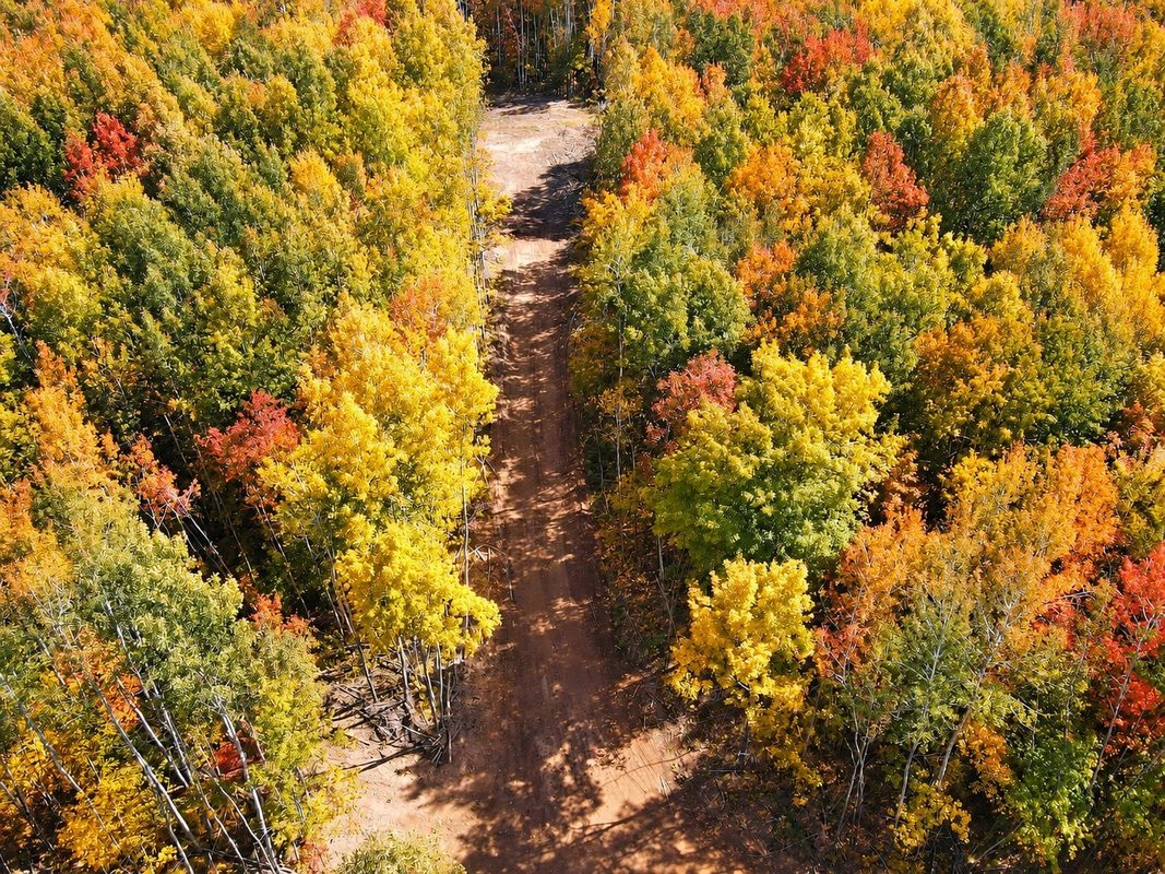 Parcel 4 County Road A, Solon Springs WI 54873 - Land house for sale - MLS #1604811 - image30