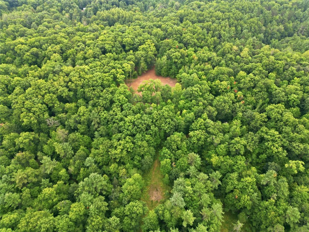 14358W County Highway E, Hayward WI 54843 - Land house for sale - MLS #1604653 - image12