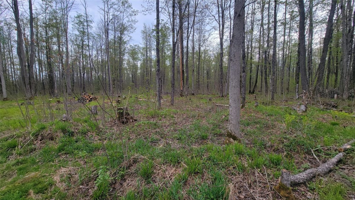 W10389 Fleming Road, Park Falls WI 54552 - Residential house for sale - MLS #1601372 - image24