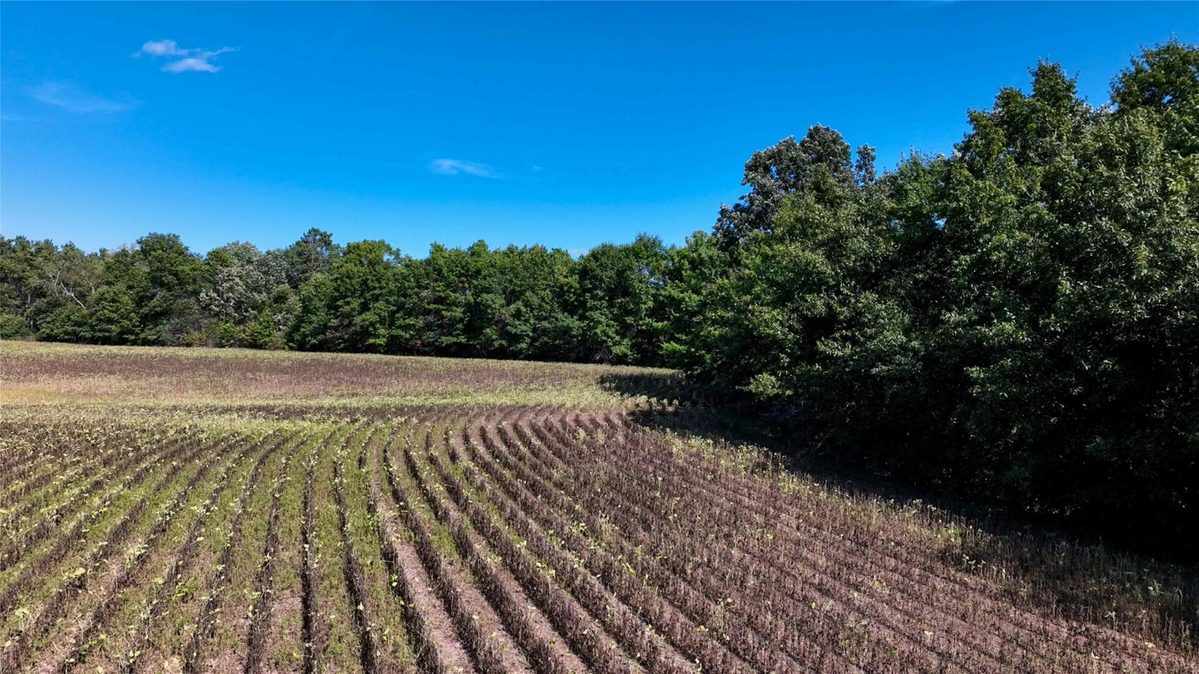 7562 Fairview Road, Ladysmith WI 54848 - Land house for sale - MLS #1605842 - image21