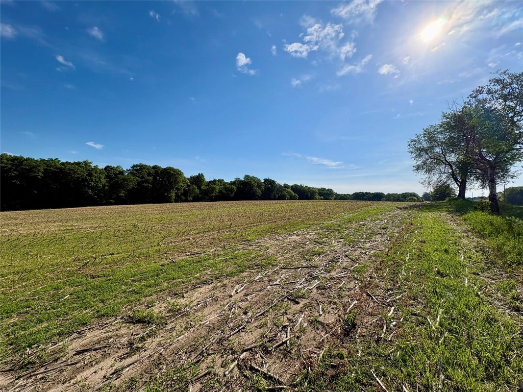 15.01 Acres 160th Avenue, Maiden Rock WI 54750 - Land house for sale - MLS #1604580 - image30