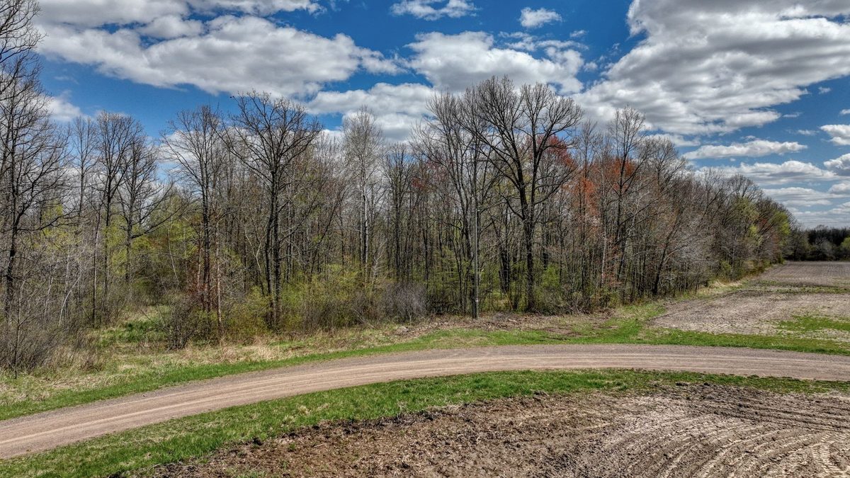 27.6 Acres off Helena Drive, Conrath WI 54731 - Land house for sale - MLS #1605499 - image3