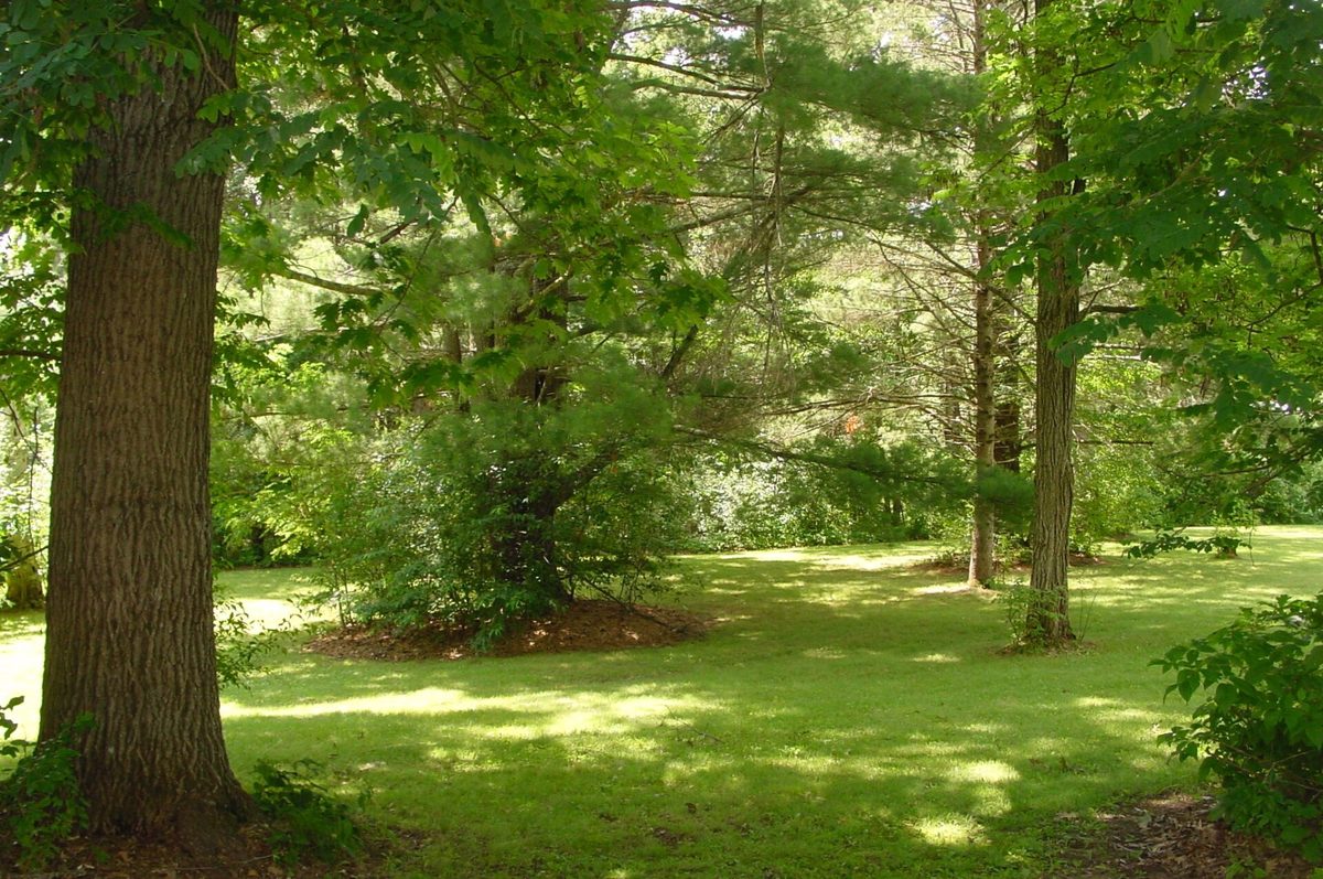 W10529 US Highway 8, Ladysmith WI 54848 - Residential house for sale - MLS #1603124 - image34