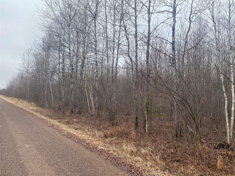 ON Shauger Road