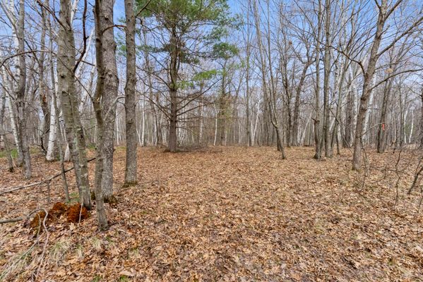 7108 Oakwood Parkway, Webster WI 54893 - Land house for sale - MLS #1600154 - image1