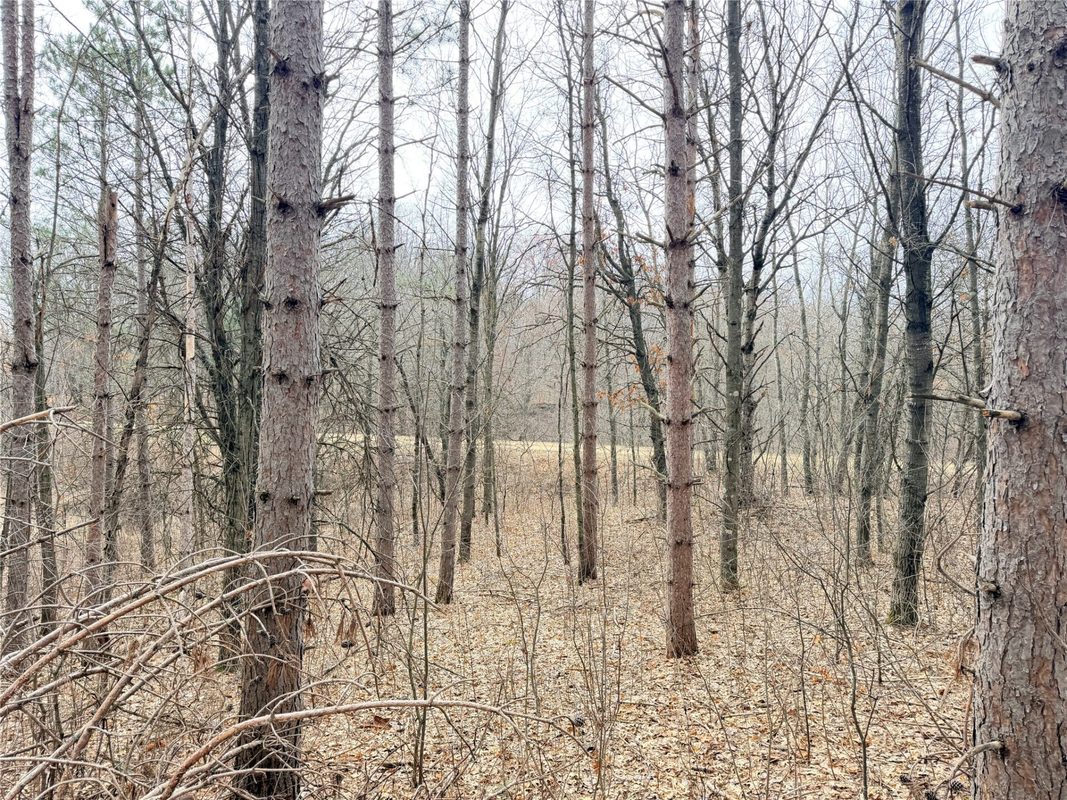 Lot 3 Big Lake Drive, Osceola WI 54020 - Land house for sale - MLS #1599897 - image18