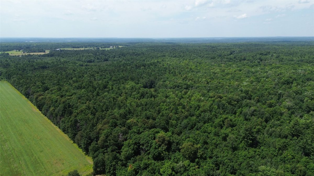 13743W State Highway 77, Hayward WI 54843 - Land house for sale - MLS #1603311 - image14