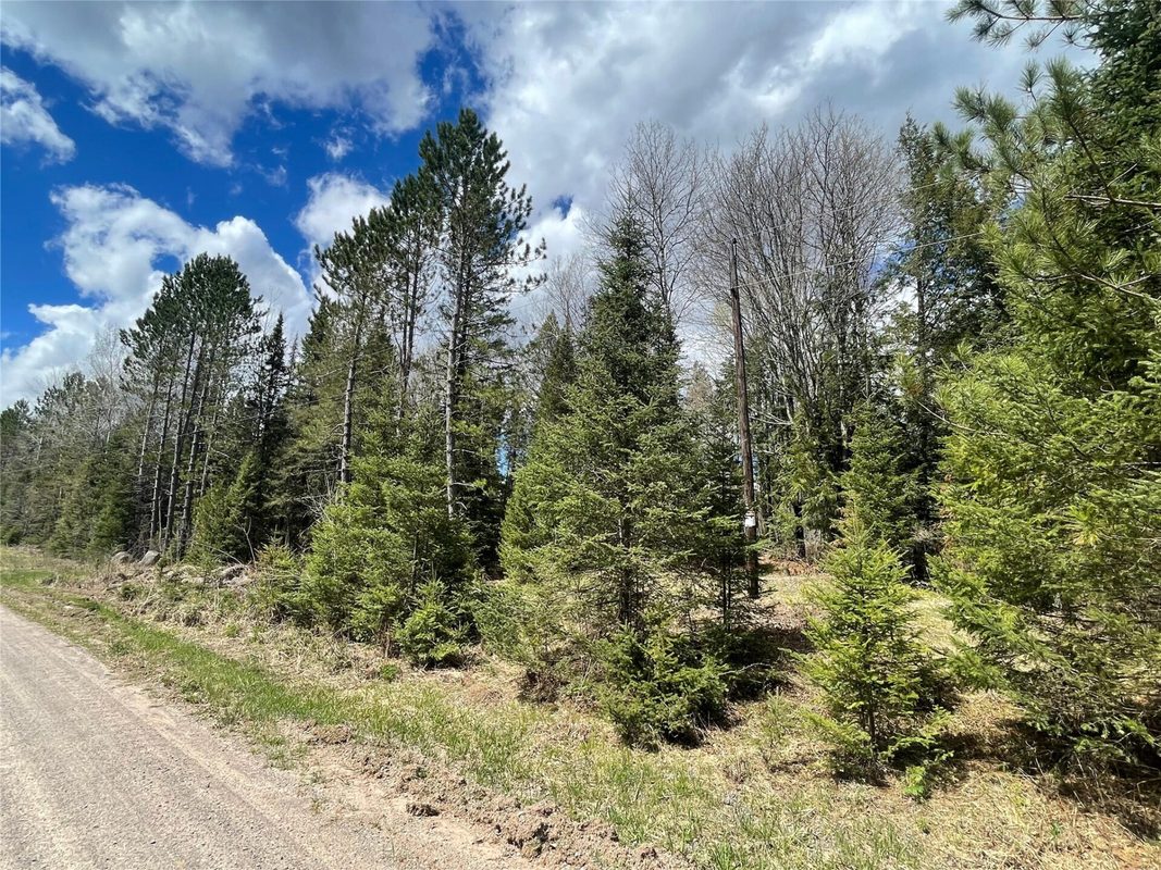 81620 Pociask Road, Butternut WI 54514 - Land house for sale - MLS #1601089 - image3