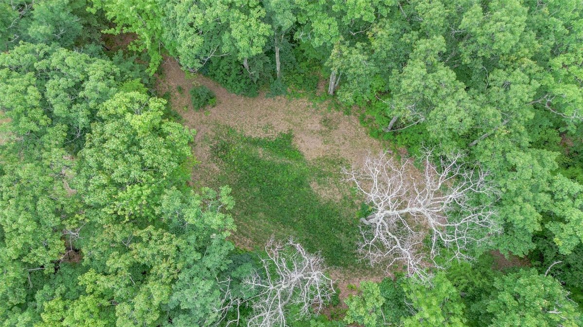 Lot 3 Ham-Holly Drive, Stone Lake WI 54876 - Land house for sale - MLS #1603509 - image8