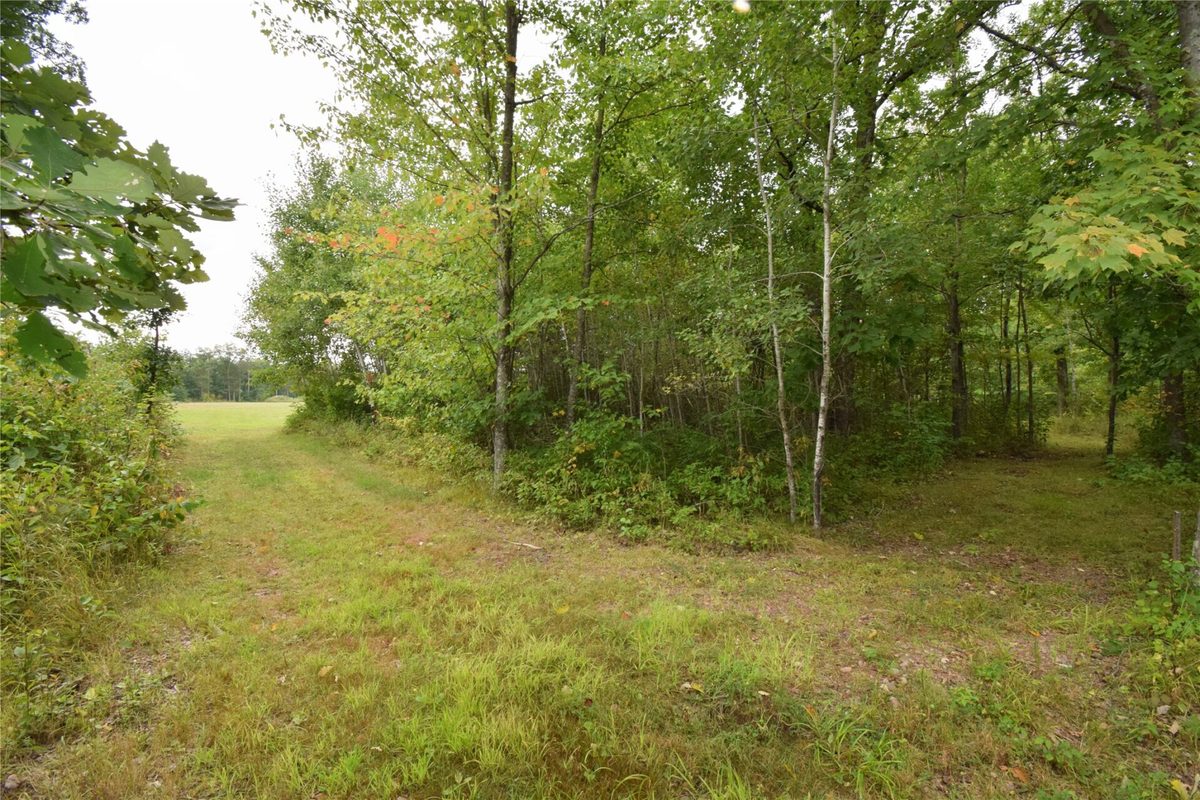 TBD State Highway 77, Danbury WI 54830 - Land house for sale - MLS #1604768 - image33