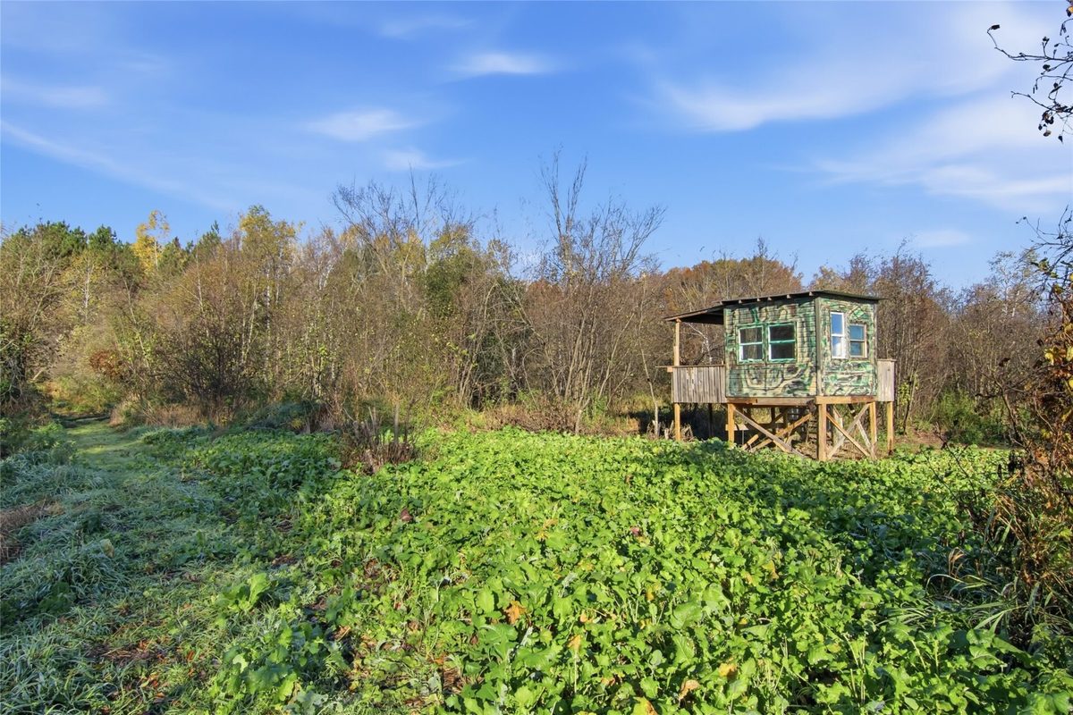 E1995 950th Avenue, Boyceville WI 54725 - Land house for sale - MLS #1606129 - image6
