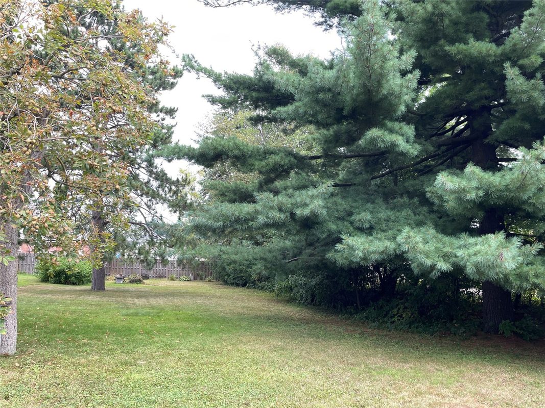 131 Lulu Avenue, Almena WI 54805 - Residential house for sale - MLS #1604456 - image49