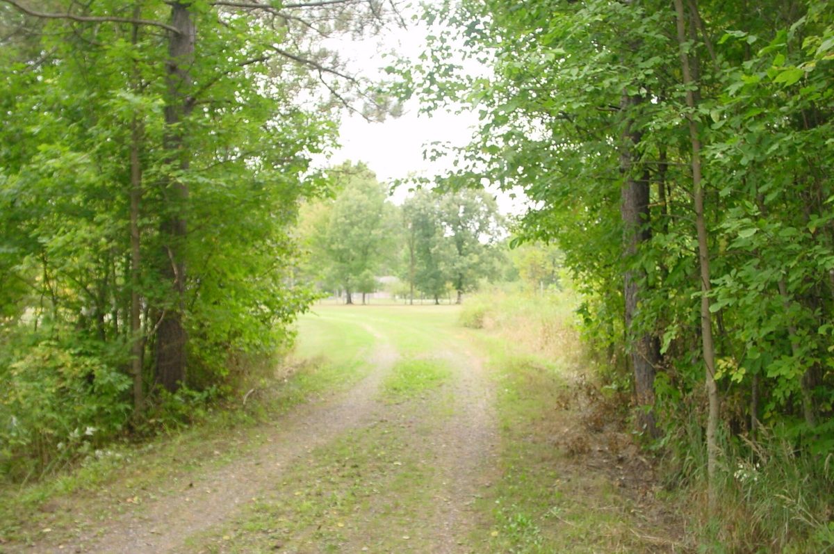 N5391 Hwy. 73, Ingram WI 54526 - Residential house for sale - MLS #1604886 - image57