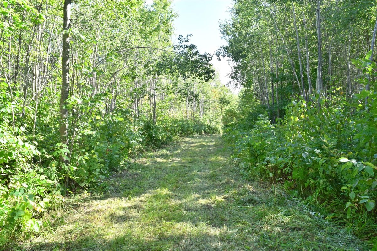 26615 Star Route Road, Bayfield WI 54814 - Land house for sale - MLS #1604800 - image26