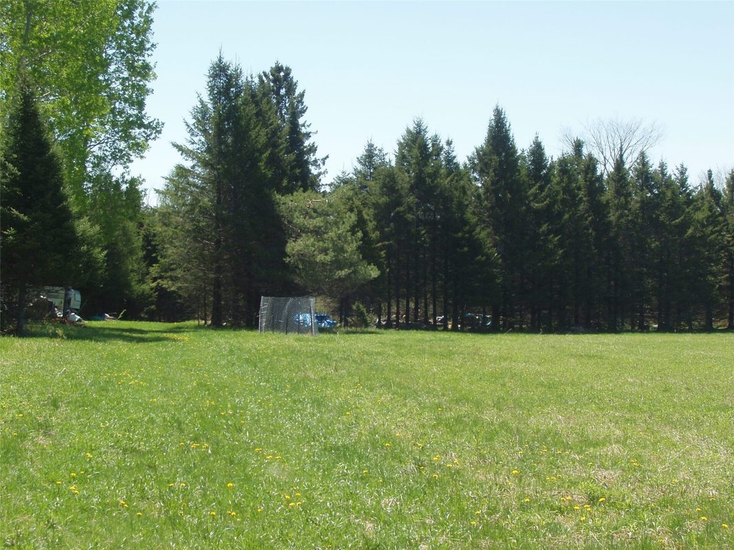 120 +/- Acres Off County Highway N, Glidden WI 54527 - Land house for sale - MLS #1601094 - image8