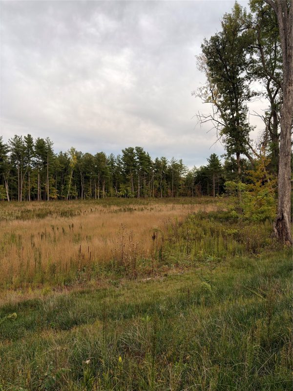 2551 Wisconsin Avenue, Rice Lake WI 54868 - Land house for sale - MLS #1605480 - image12