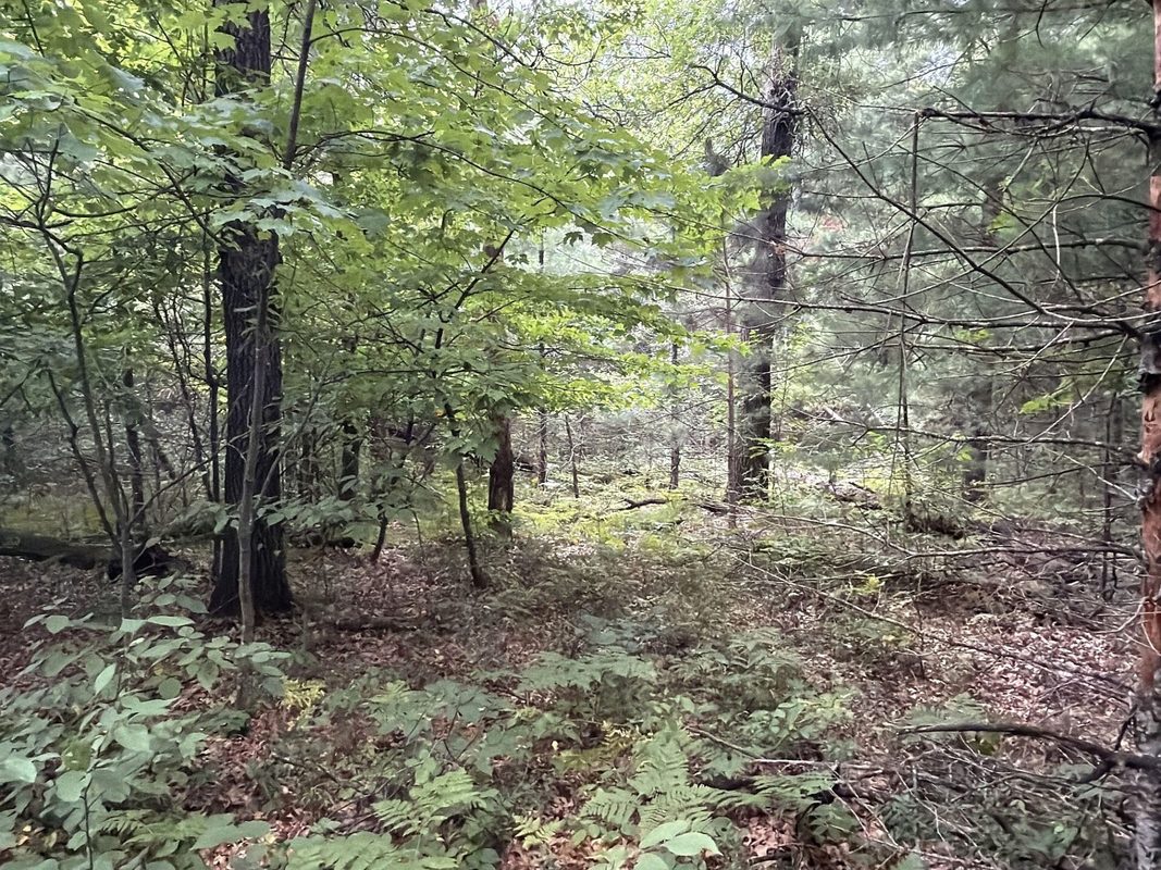 W9527 Mile Road, Ladysmith WI 54848 - Residential house for sale - MLS #1603730 - image31