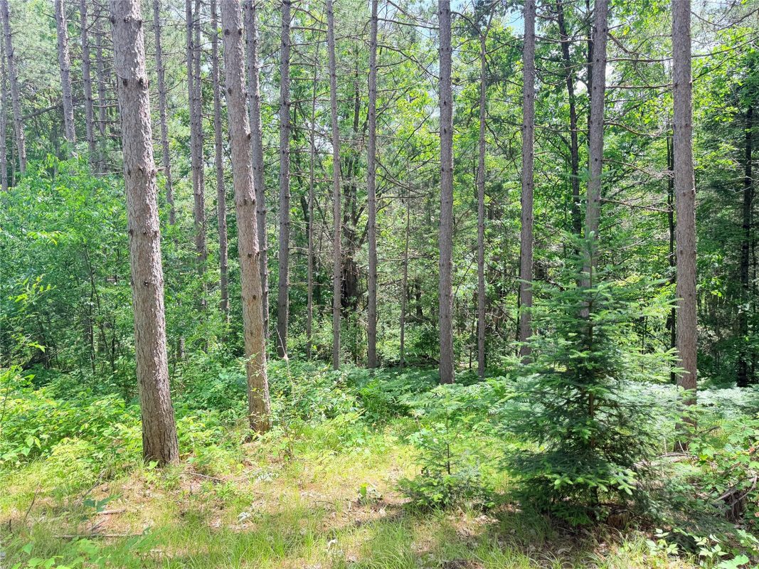 W11097 Boat Landing Road, Ladysmith WI 54848 - Land house for sale - MLS #1605411 - image14