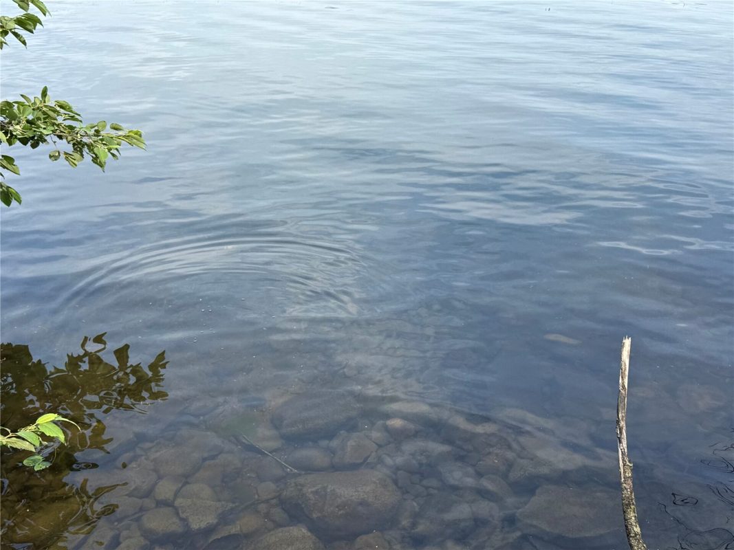 XXX Long Lake Road, Stone Lake WI 54876 - Land house for sale - MLS #1602892 - image7