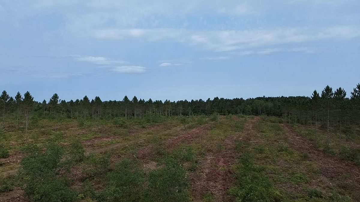 212X Ellison Lake Road, Barnes WI 54873 - Land house for sale - MLS #1604310 - image3