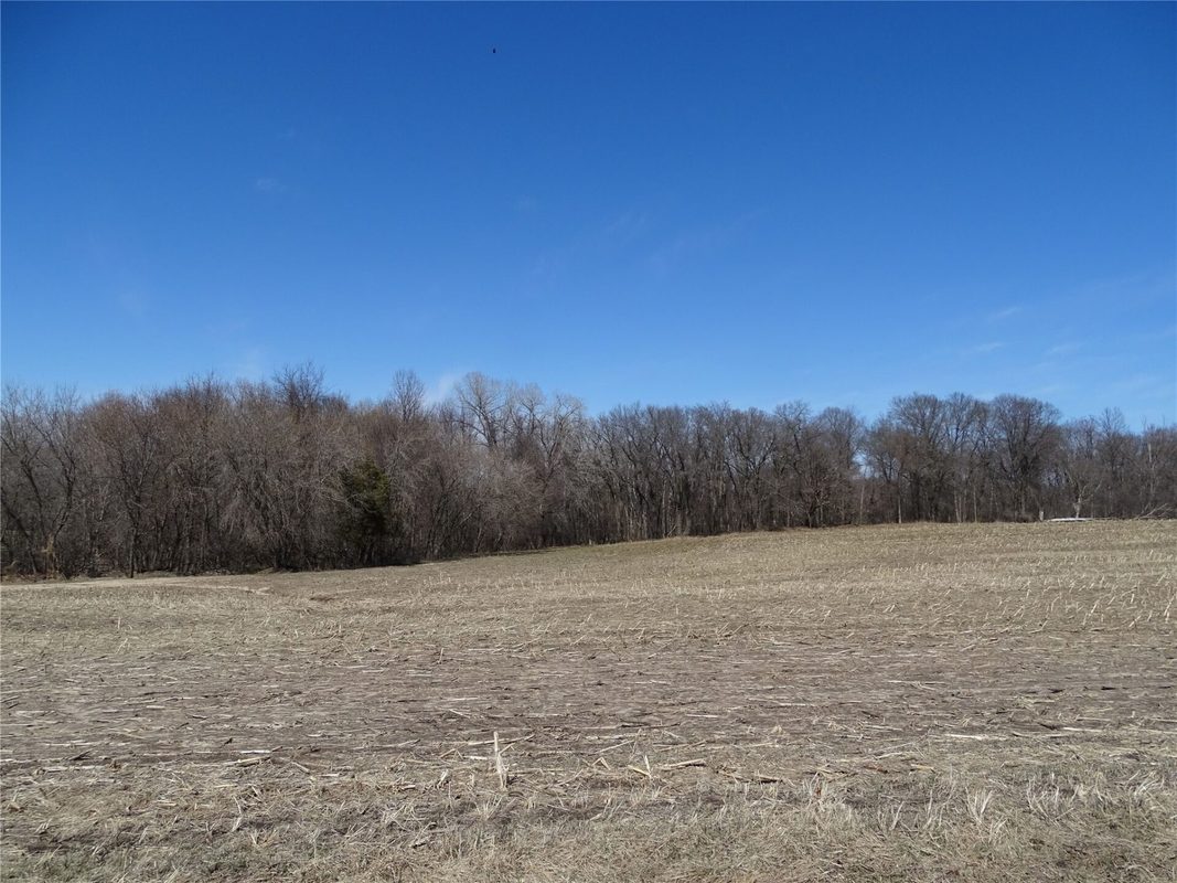 000 160th Avenue Maiden Rock WI 54750 — photo 3