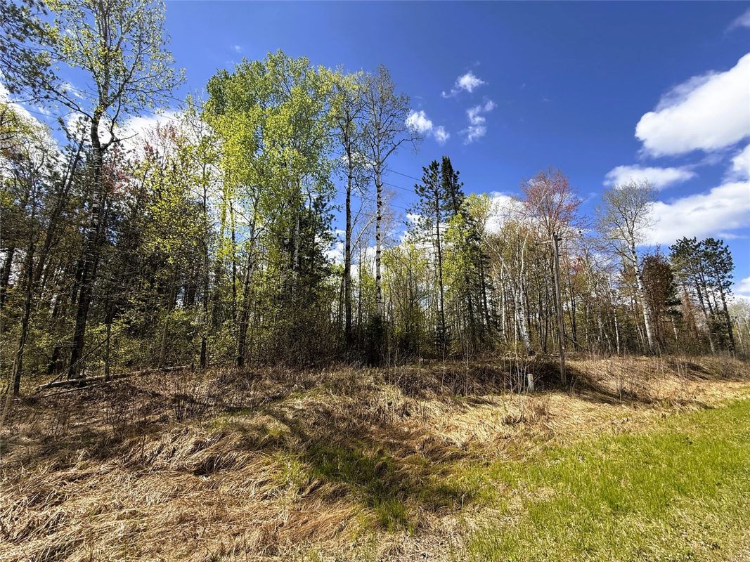 36.5 Acres E Cedarbrook Road, Ladysmith WI 54848 - Land house for sale - MLS #1601172 - image18