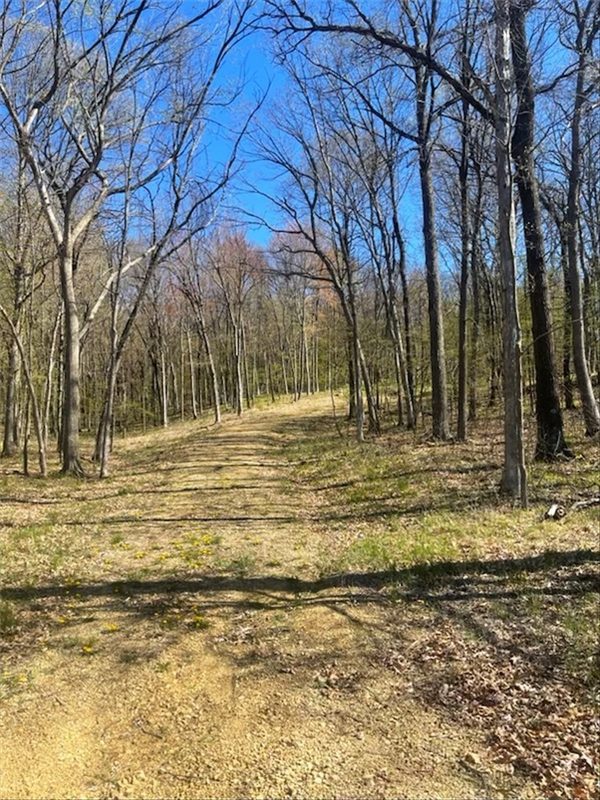 Lots 4, 5 & 6 Anderson Hill Lane, Boyceville, WI — photo 31