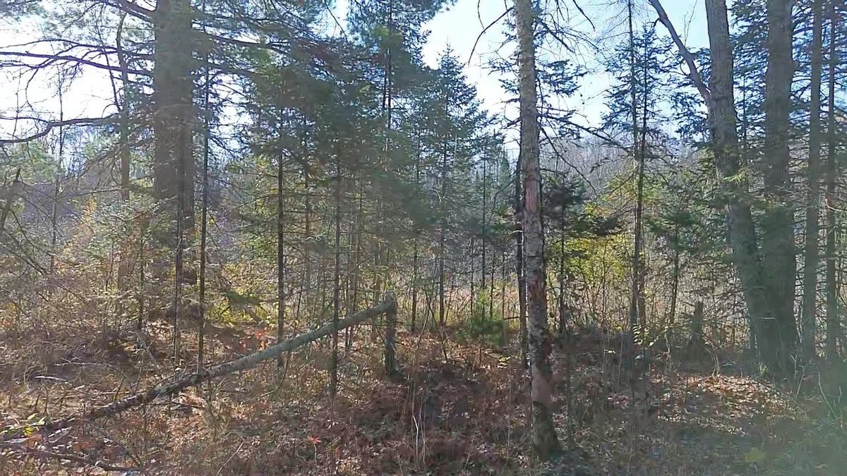 127XX State Highway 70, Couderay WI 54828 - Land house for sale - MLS #1606290 - image11
