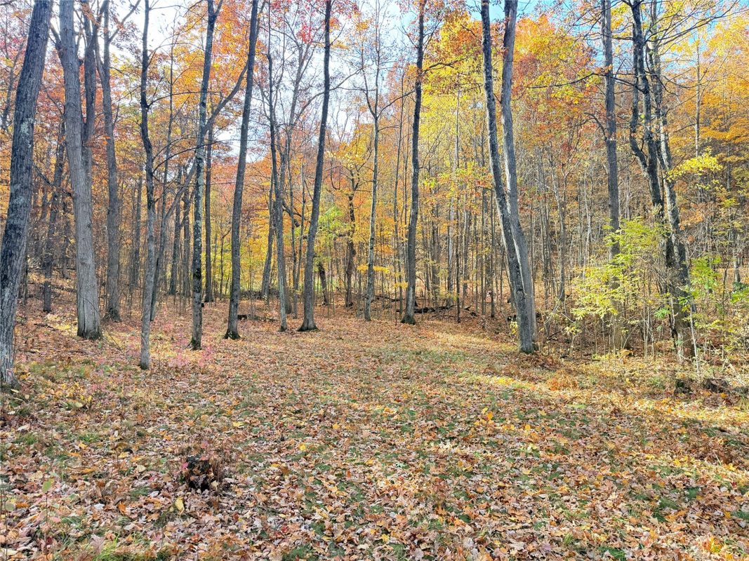 0 County Highway C, Rice Lake WI 54868 - Land house for sale - MLS #1605929 - image42